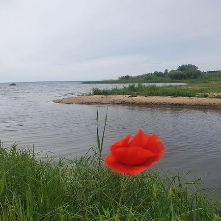 Paeevatalu Camping Hotel Vilusi Bagian luar foto