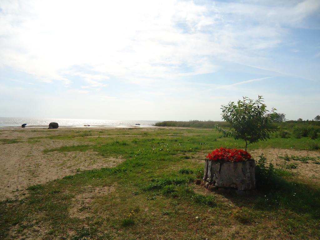 Paeevatalu Camping Hotel Vilusi Bagian luar foto